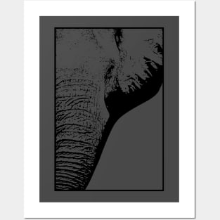 Elephant Close Up Face Posters and Art